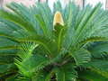2007-Louisiana-Mission-Trip EBC (058).JPG